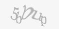 Защитный код